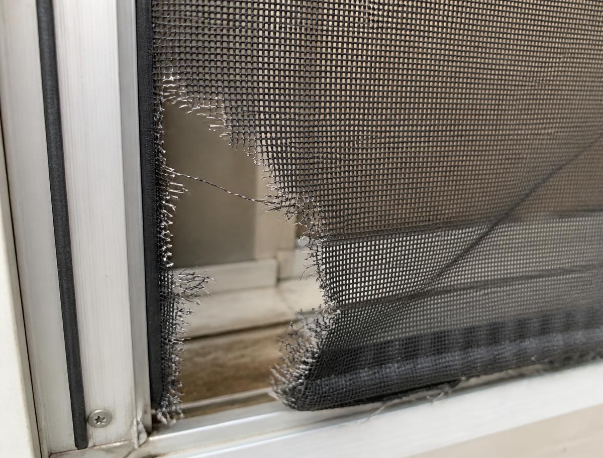 Torn insect mesh in an aluminium flyscreen door frame